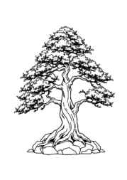 Trees Coloring Book 142DEEE4 (12 Coloring Pages)