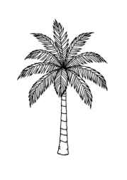 Trees Coloring Book 142DEEE4 (12 Coloring Pages)