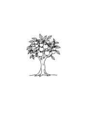Trees Coloring Book 576BD964 (12 Coloring Pages)
