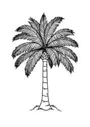 Trees Coloring Book 576BD964 (12 Coloring Pages)