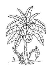 Trees Coloring Book 88415811 (12 Coloring Pages)