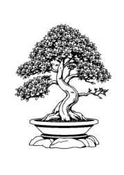 Trees Coloring Book 88415811 (12 Coloring Pages)