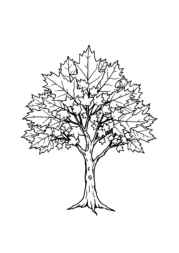 Trees Coloring Book 88415811 (12 Coloring Pages)
