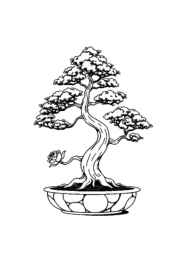 Trees Coloring Book 93C20166 (12 Coloring Pages)