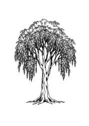 Trees Coloring Book 93C20166 (12 Coloring Pages)