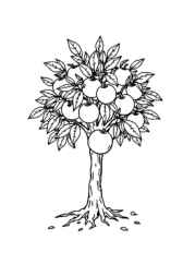 Trees Coloring Book 93C20166 (12 Coloring Pages)