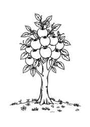 Trees Coloring Book B92F06C5 (12 Coloring Pages)