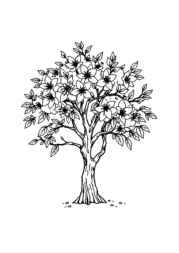 Trees Coloring Book B92F06C5 (12 Coloring Pages)