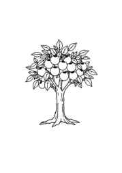 Trees Coloring Book CB6CEAEE (12 Coloring Pages)