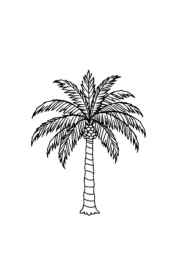 Trees Coloring Book CB6CEAEE (12 Coloring Pages)