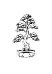 Trees Coloring Book CB6CEAEE (12 Coloring Pages)