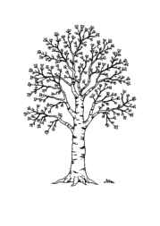 Trees Coloring Book CB6CEAEE (12 Coloring Pages)
