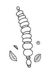 Turkish Food Coloring Book 36476061 (12 Coloring Pages)