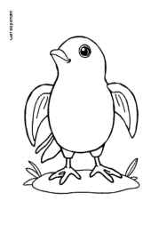 Turkish Food Coloring Book 36476061 (12 Coloring Pages)