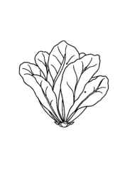 Vegetables Coloring Book 1AF5207B (12 Coloring Pages)