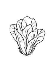 Vegetables Coloring Book 1AF5207B (12 Coloring Pages)