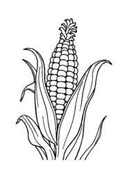 Vegetables Coloring Book 2F9FB071 (12 Coloring Pages)