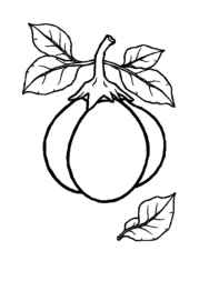 Vegetables Coloring Book 492EF2DB (12 Coloring Pages)