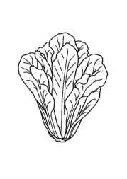 Vegetables Coloring Book 492EF2DB (12 Coloring Pages)