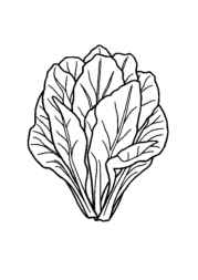 Vegetables Coloring Book A86FEADD (12 Coloring Pages)