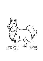 Winter Coloring Book AC5E2345 (12 Coloring Pages)