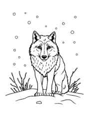 Wolf Penny Coloring Book A6EA3742 (12 Coloring Pages)