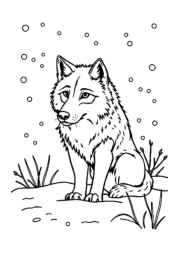 Wolf Penny Coloring Book EA2F3341 (12 Coloring Pages)