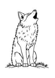 Wolf Penny Coloring Book EA2F3341 (12 Coloring Pages)